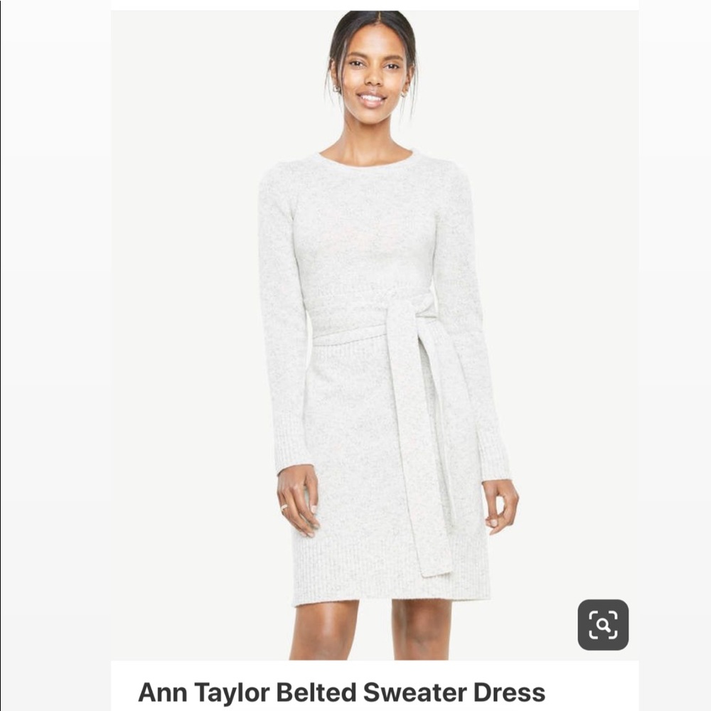 Ann Taylor Belted Sweater Dress